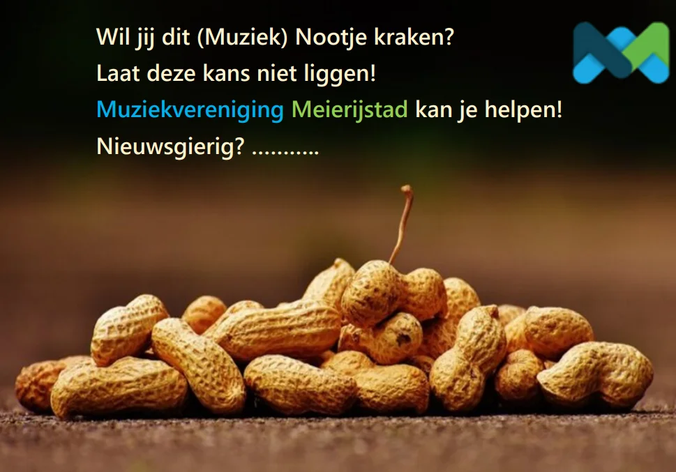 Featured image for “Muziekkriebels”